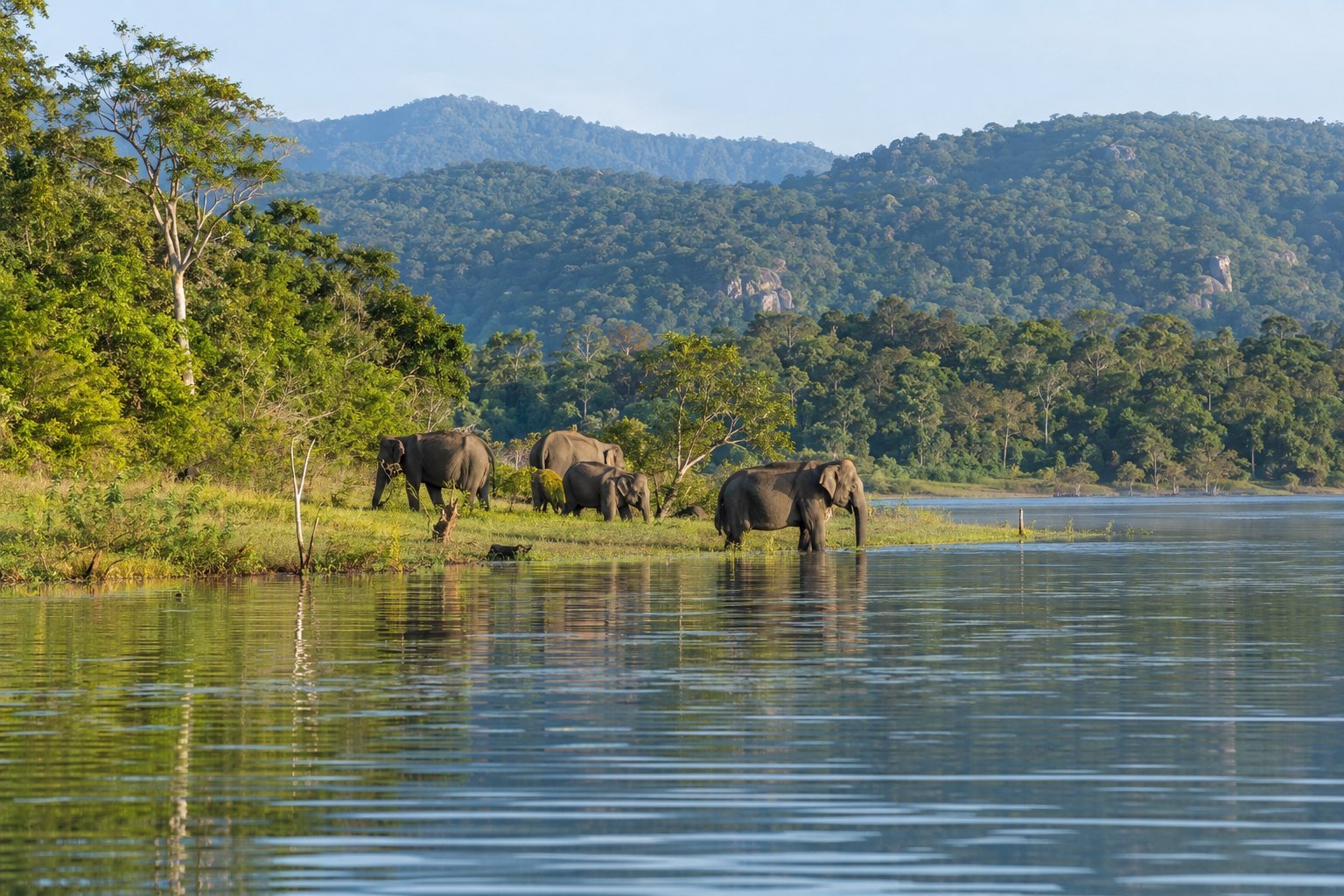 Custom Loop private Sri Lanka tour