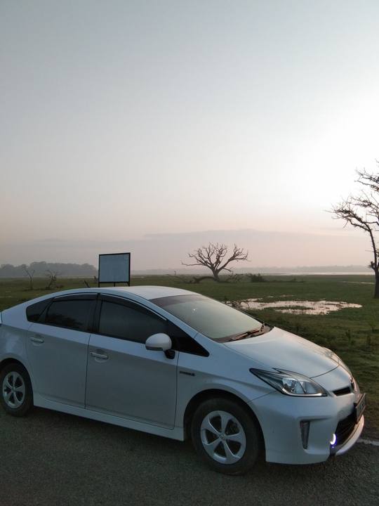 White private transfer car at dawn beside a wetland in Sri Lanka